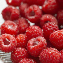 redberries.jpg